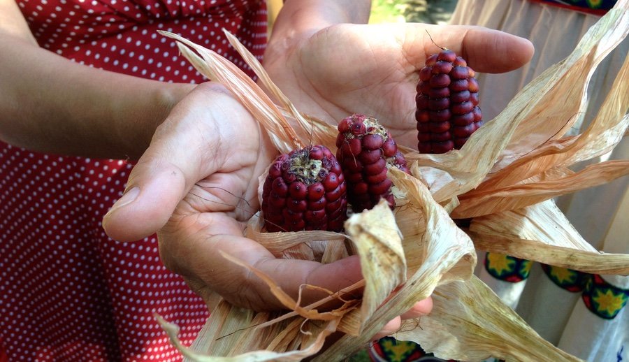 Shifting from Savior Complex to Indigenous-Led Solutions