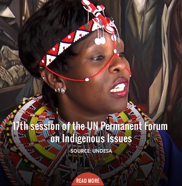 17th session of the UN Permanent Forum on Indigenous Issues
