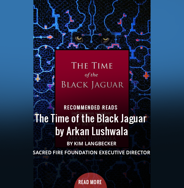Recommended Reads: The Time of the Black Jaguar by Arkan Lushwala