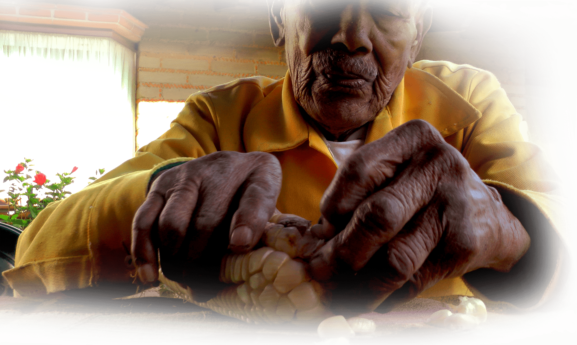 Image of man with corn