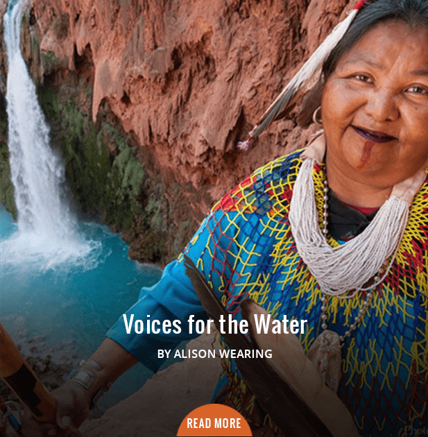 Voices for the Water