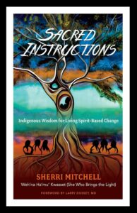 Photo of the cover of Sacred Instructions